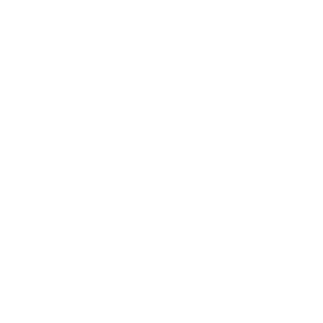 gatsby-and-poole-dog-training-leeds Gatsby & Poole dog training Leeds & Bradford – trainer with Staffordshire Bull Terrier-Springer cross