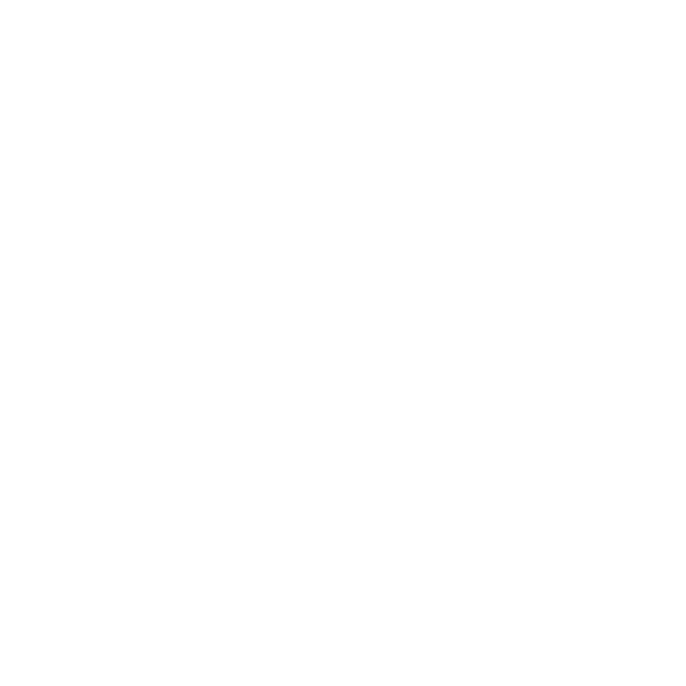 gatsby-and-poole-dog-training-leeds Gatsby & Poole dog training Leeds & Bradford – trainer with Staffordshire Bull Terrier-Springer cross